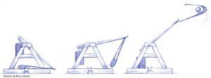 PLS344-Image2